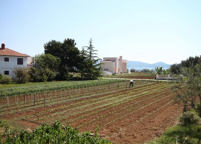 Apartament By The Sea Sukosan, Zadar - 6120